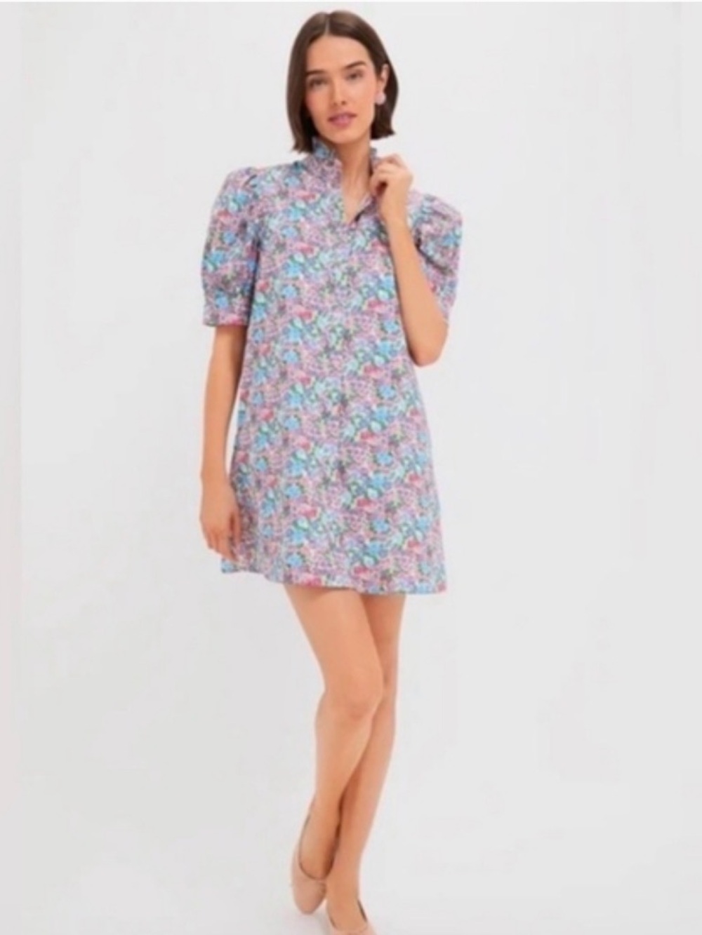 NWT Multi Rose Floral Louisa Mini Dress